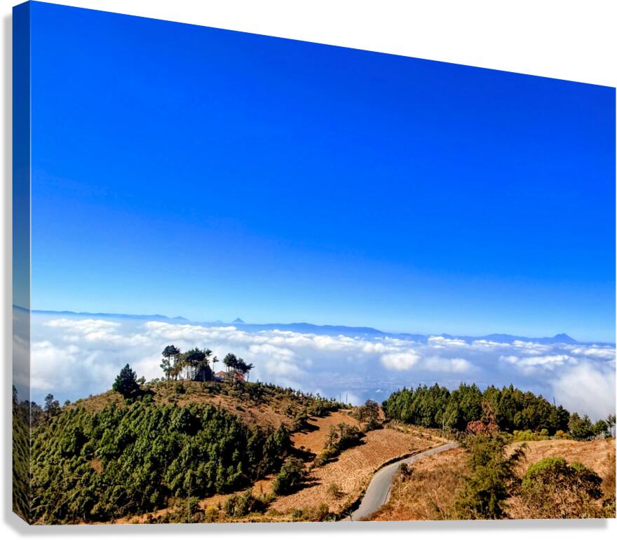 IMG 9134 EDIT Canvas Print