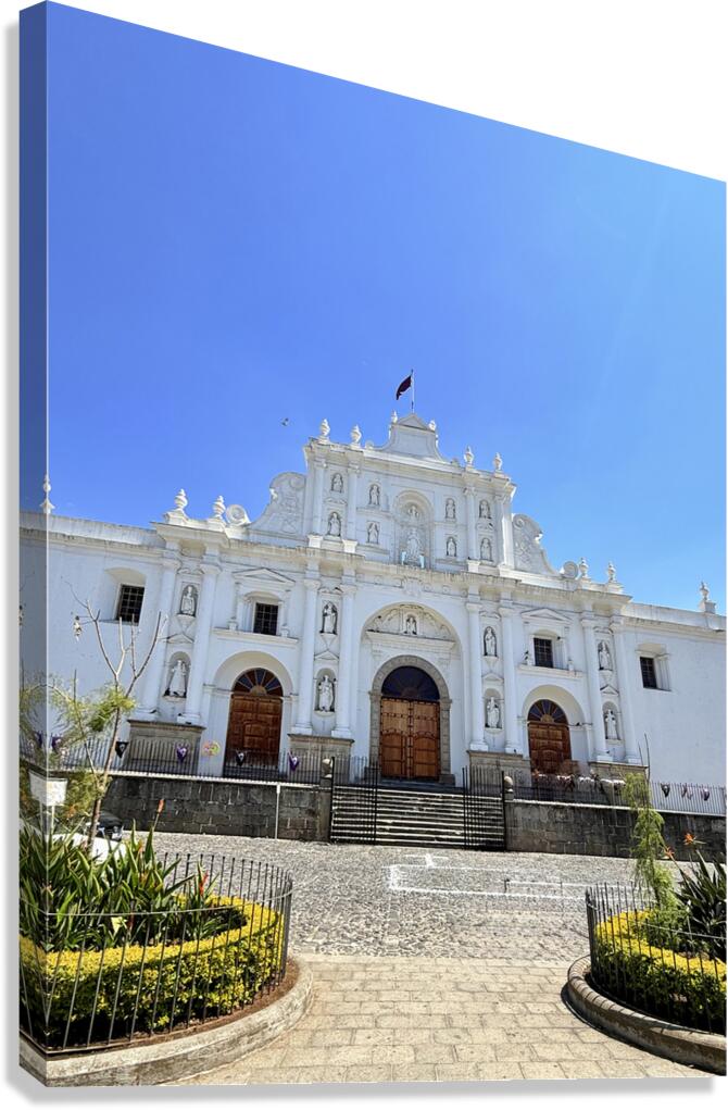 IMG 0284 Canvas Print