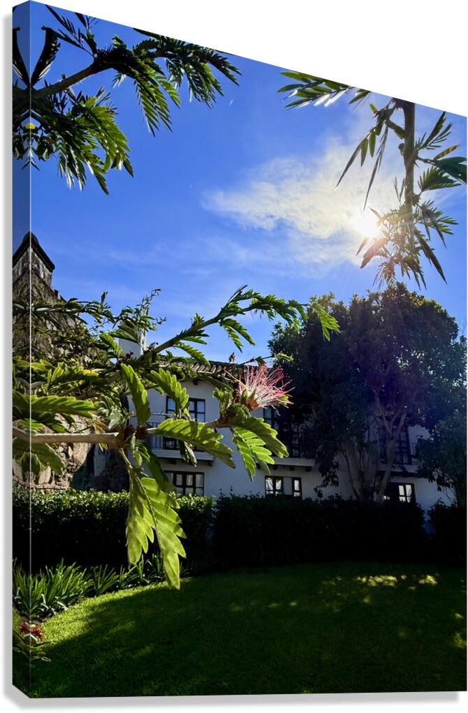 IMG 0025 Canvas Print