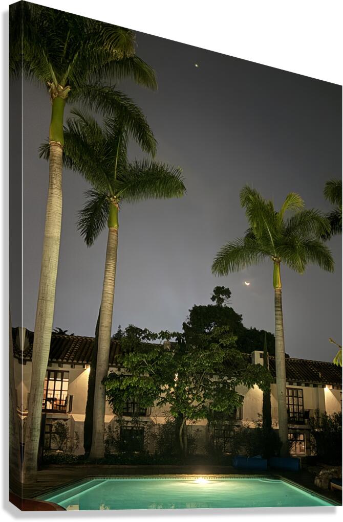 IMG 0441 Canvas Print