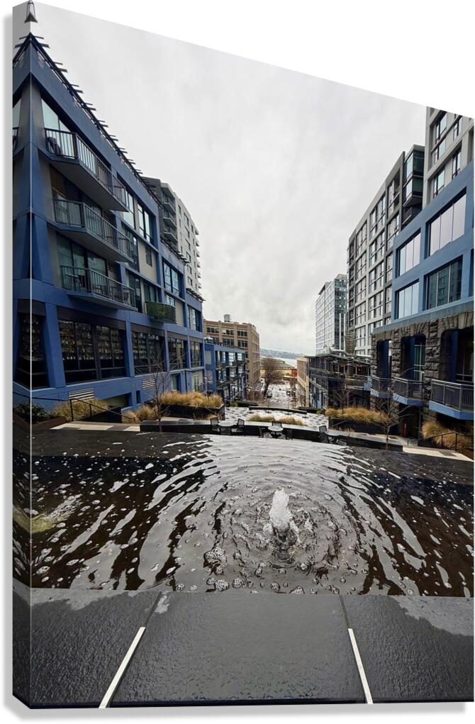 IMG 8437 Canvas Print