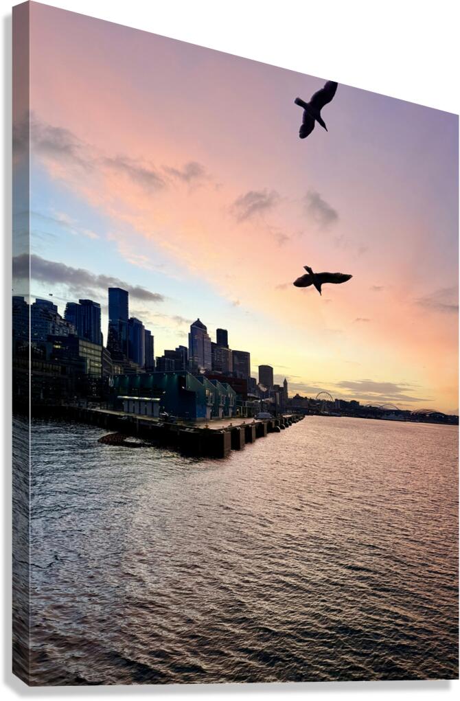 Pink Dusk Flight Canvas Print