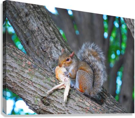 Tastes Like Chicken...Because it IS Canvas Print