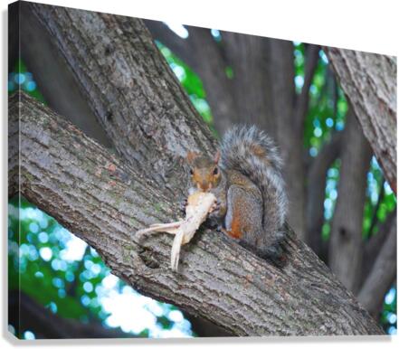 Yes I like Chicken Wings  Canvas Print