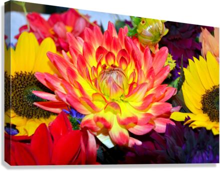 Flower Bloom 2 Canvas Print