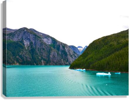 Majestic Mountains of Alaska 5 Canvas Print