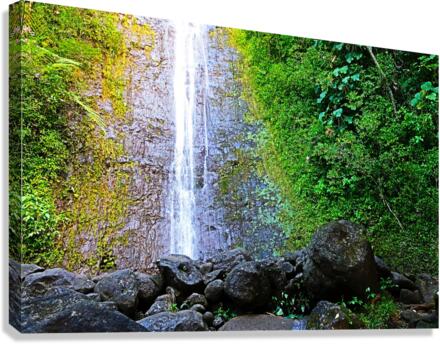 Falling for Colors Canvas Print