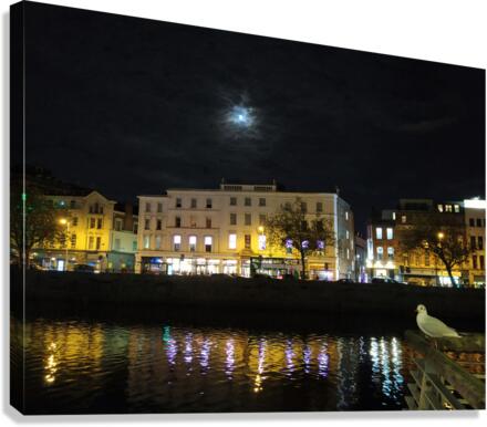 Wishing Upon A Moon Canvas Print