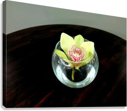 Glass Bloom 2 Canvas Print