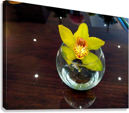 Glass Bloom 2B Canvas Print