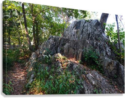 Just Rocking Life  Canvas Print