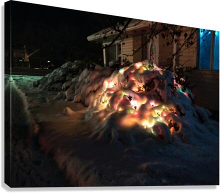 Frozen Christmas Canvas Print