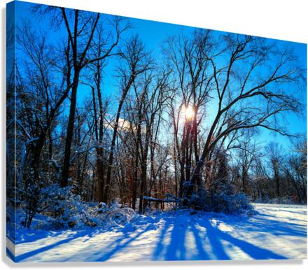 Winter Wonderland 2 Canvas Print