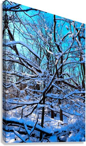 Frozen Limbs 3B Canvas Print