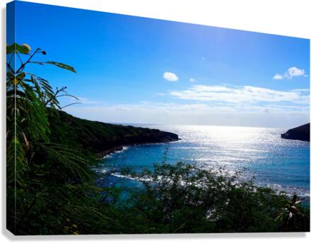 Welcome to Hawaii Canvas Print