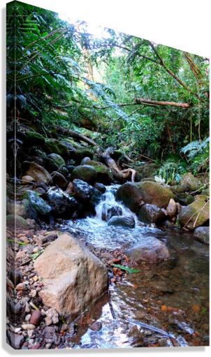Hiking Hawaii Water Flow Canvas Print