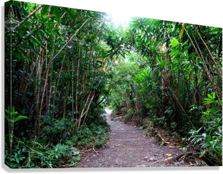 Hiking Hawaii Canvas Print
