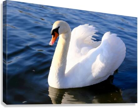 Wings of Love 1A Canvas Print