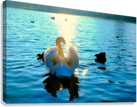 Luminous Voyage Canvas Print