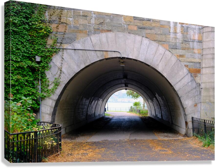 Vaulted Passage Canvas Print