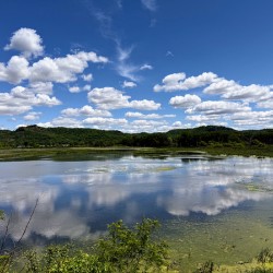 Cloud Watching by the Lake