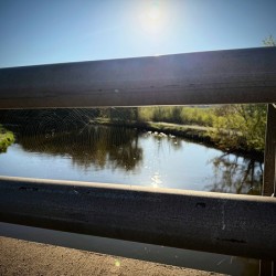 Spider Web on Bridge at Sunrise – Nature Framed in Stillness 1