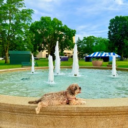 Lazy Days by the Fountain