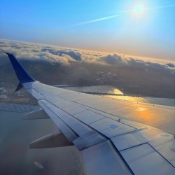 Wings over SF: Above the Quiet Kingdom