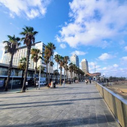 Sun-Kissed Horizons: Barcelona Beach