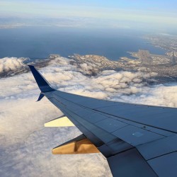 Above the Fog Line: San Francisco in Glide