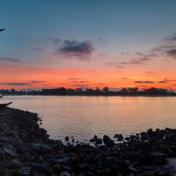San Diego Sunset at Tidal