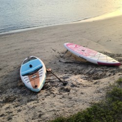 Shoreline Holds the Memory: Beached Paddle Board