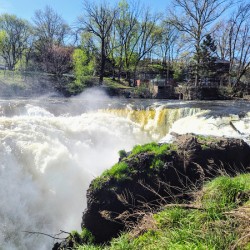 Where the Earth Breathes in Light and Water