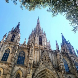 Gothic Roots Olive Crowns: The Cathedral at an Angle of Awe