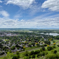 Sky Above Roots Below