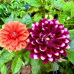 Nature’s Take on Balance and Beauty