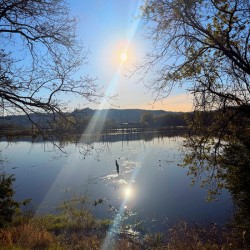 Reflections of La Crosse