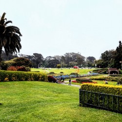 Civic Eden: The Park Awakens