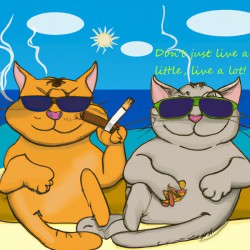 BadCatz Beach Bums 1A