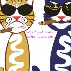 BadCatz Picasso Style