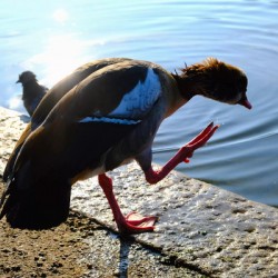  Step Off the Deep End