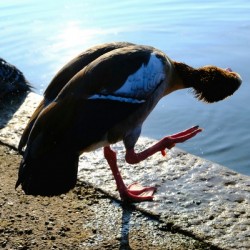 Is the Sky Falling...Just Checking