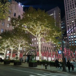 Flags and Lights – Manhattan Nights