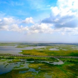 New Orleans from the Sky