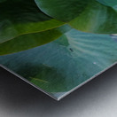 Emerald Cradle of Calm Metal print