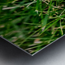 The Littlest Umbrella Metal print