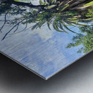 Path to the Palms Metal print