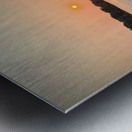 Evening Harbor: A Moment to Drift Metal print