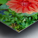 Harmony Blooms: When Opposites Flower Together Metal print