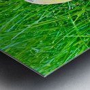 The Philosopher’s Cap Metal print